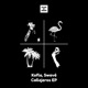 Callejeros EP