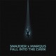 Fall Into The Dark Radio Single