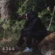 6364 Single