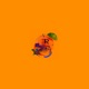 West Orlando Flow Single