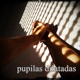 pupilas dilatadas Single