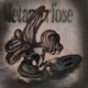 METAMORFOSE