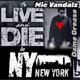 TO LIVE AND DIE IN NY feat Dame Grease Vintage NEW YORK Mixtape Vybez Single
