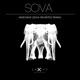 Indecisive Sova Revisited Remix Single