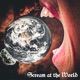 Scream At the World Single