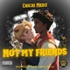 Not My Friends Single