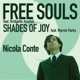 Free Souls Shades Of Joy Single