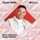 Merry Christmas Happy Holidays Single