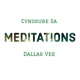 Meditations feat Dallas Vee Single