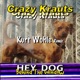 Hey Dog Behind the Window Kurt Wohle Remix Single