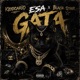 ESA GATA Single