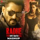 Radhe Your Most Wanted Bhai Mashup Single