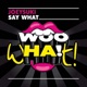 Say What Single
