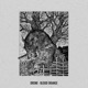 Blood Orange Single