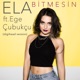 Bitmesin feat Ege Çubukçu Digihead Version Single