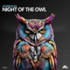 Night of the owl Single