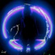 Ecdysis Single