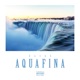 Aquafina Single