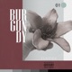 Burgundy EP