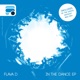 In the Dance Single