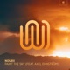 Paint the Sky feat Axel Ehnström Single