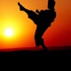 Katas Del Mc Single