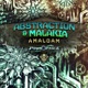 Amalgam Single
