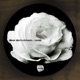 Resist EP