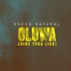 Oluwa Shine Your Light Single