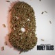 Money Talks Single