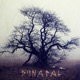 Runatal feat Sigurbodi Single