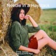 Needle in a Haystack feat Laurens Reij Single