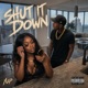 Shut It Down Single