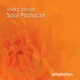 Soul Protocol Single