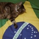 TACA TUDO EP