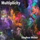 Multiplicity