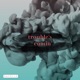 Trouble s Comin Single