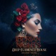 Iberian Nights DJ Mix