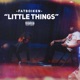 Little Things Single