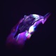 Last Online More Sure Single