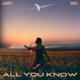 All You Know Single