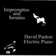 Impromptus and Sonatas EP