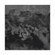 Velvet EP