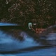 Ascension Single