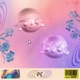 Fixed Grooves Single