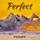 Perfect Single