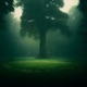 A Mountain a Forest Single
