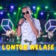 Luntur Welase Single