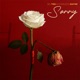 Sorry Single