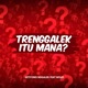 Trenggalek itu mana feat Wojo Single